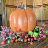 🎃Halloween- Vorverkauf 50% Rabatt🎃