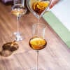 The Tulip Whiskey Glass