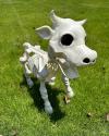 LAST DAY 50% OFF🔥Cow & Horse Skeleton Halloween Decorative Prop