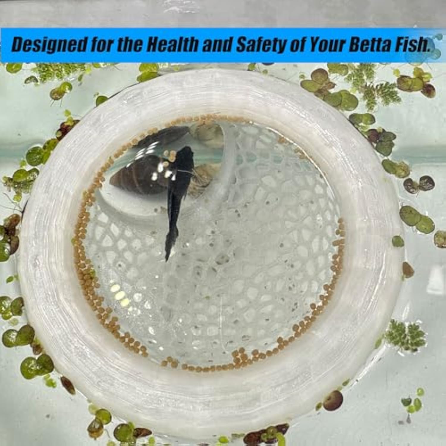 🔥Last Day: 50% OFF🐟Floating Betta Fish Skins