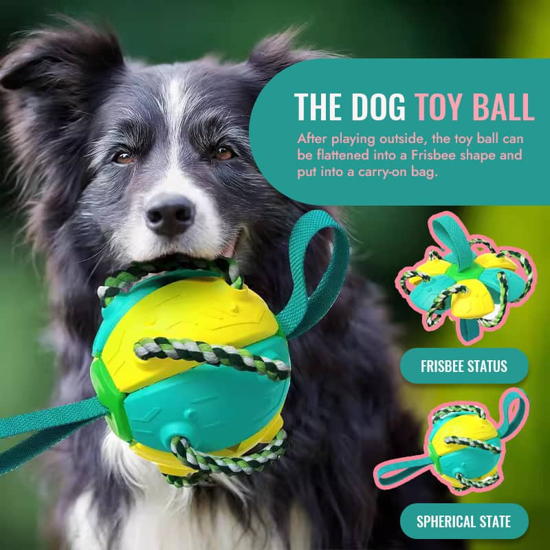 Mother's Day Limited Time Sale 70% OFF💓Interactive Flying Disk Ball Dog Toy🐾