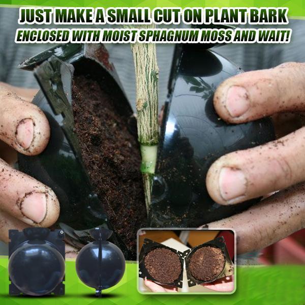 Plant Root Growing Box, Buy 4 Get Extra 20% OFF NOW