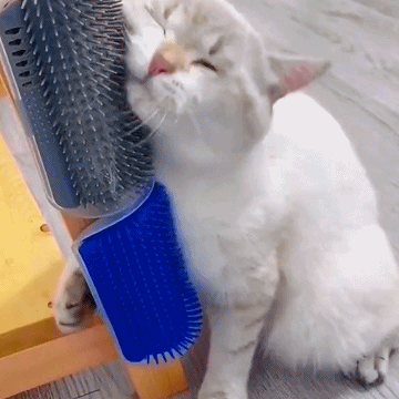 🔥Clearance Sale 48% OFF🔥Corner Massage Cat Brush - Buy 3 Free Shipping