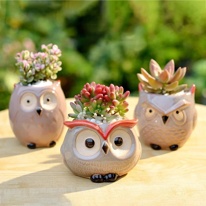 Cute Owl Ceramic Succulent Planter Pot- Buy 2 Free Shipping