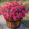 💥Upgraded high-grade material 🌱UV Resistant Lifelike Artificial Flowers