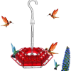 ⚡Clearance Sale SALE 70%🔥 Hummingbird Feeder With Perch