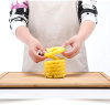 ⛄Early Spring Hot Sale 50% OFF⛄ - Pineapple Cutter(Buy More Save More)