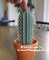 🔥Last Day Promotion 60% OFF🎁Funny Cactus Toothpick Holder