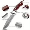Damascus Steel Camping Knife - FREE SHIPPING