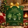 🔥Christmas Sales 50% OFF🎄-2025 Plant Christmas Advent Calendar🌿