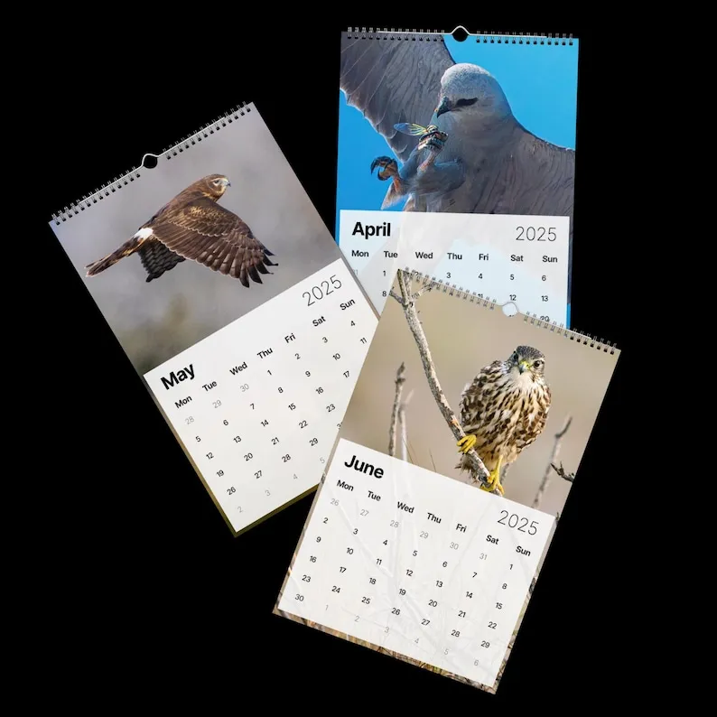 Raptor Calendar 2025