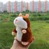 🎄Funny Talking Hamster Plush Toy