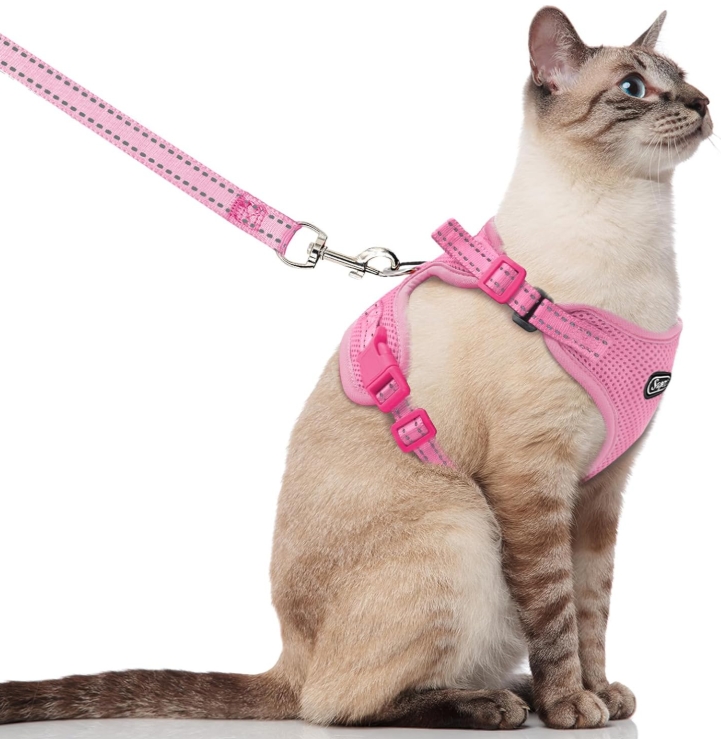 Cat Harness & Leash