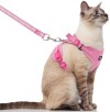 Cat Harness & Leash