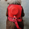 Poochbark™ 3 in 1 Dog Harness with Built-In Leash <strong>(Free Shipping)</strong>