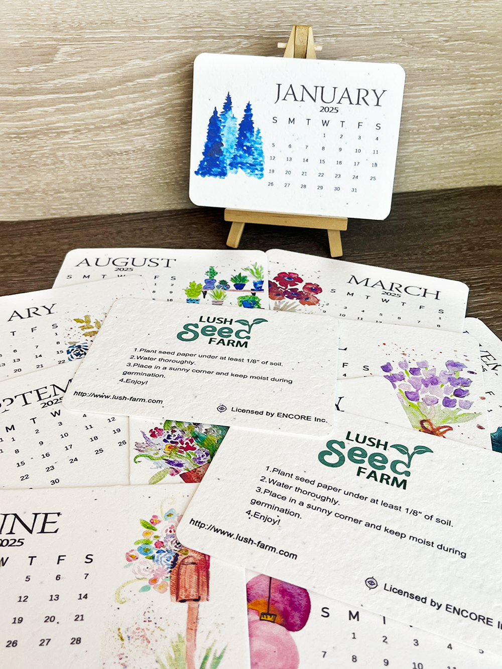 ✨New Year 49% OFF🌱Eco-Friendly Plantable Love Seed Calendar 2025