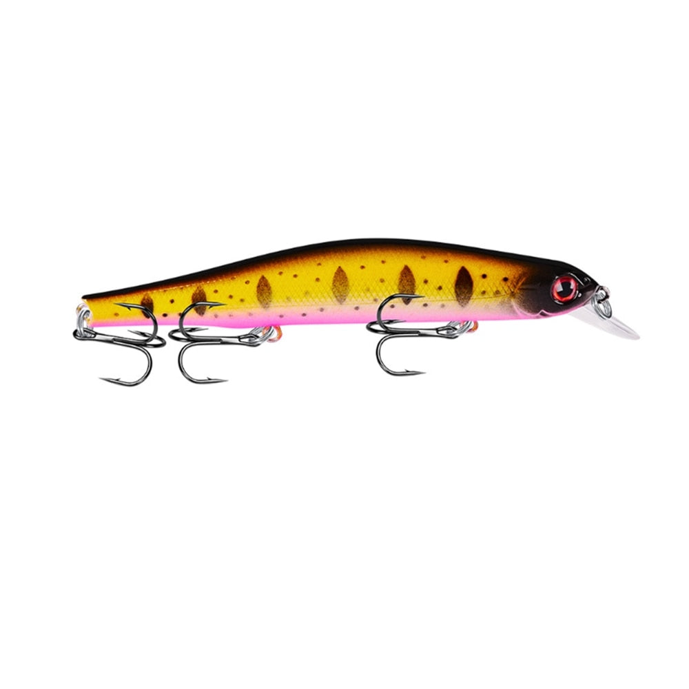 Minnow Fishing Lure