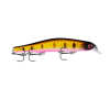 Minnow Fishing Lure