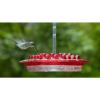 (🔥Last Day Promotion-SAVE 49% OFF) Mary's Hummingbird Feeder With Perch And Built-in Ant Moat-BUY 2 FREE SHIPPING