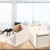 🔥Last Day Promotion - 60% OFF🎁😭Super Funny Crazy Prank Gift Box Spider🕷️