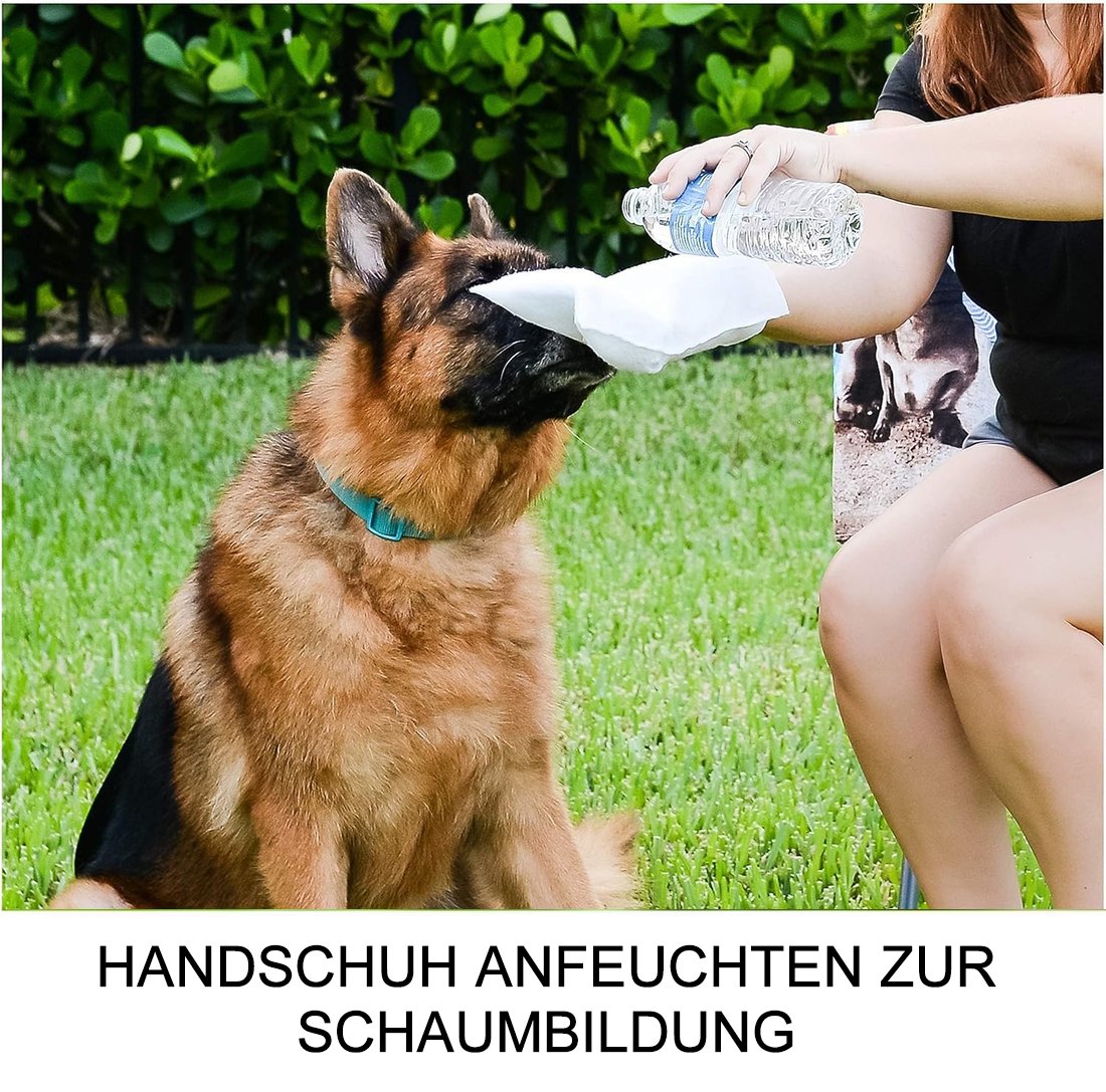 🐶🐱Wasserfreie Hundeshampoo-Handschuhe – Hypoallergene Badetücher für Haustiere, 6 Packungen