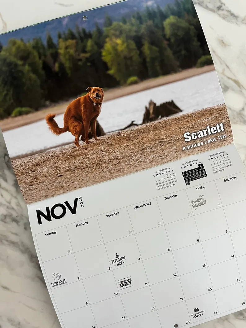 📅2025 Pooping Pooches Dog Calendar🐶🎁🔥Buy 2 Free Shipping