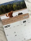 📅2025 Pooping Pooches Dog Calendar🐶🎁🔥Buy 2 Free Shipping