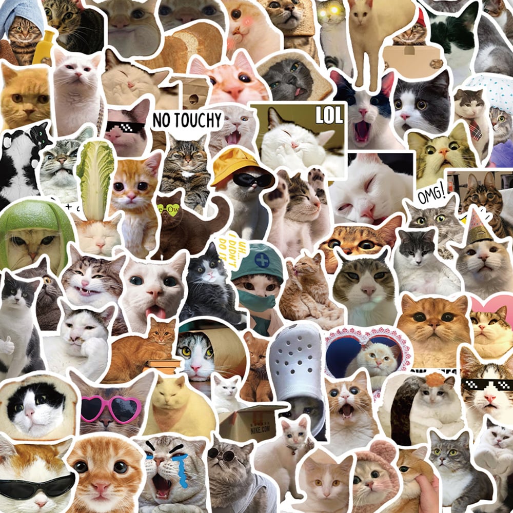 😻100 PCS Funny Kitten Stickers