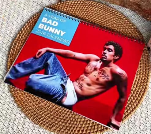 Last Day 50% OFF-2026 Bad Bunny Calendar