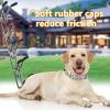 No Pull Collar for Dogs, Dog Collar with Buckle & Dog Walking Tool for Small, Medium, or Large Breed