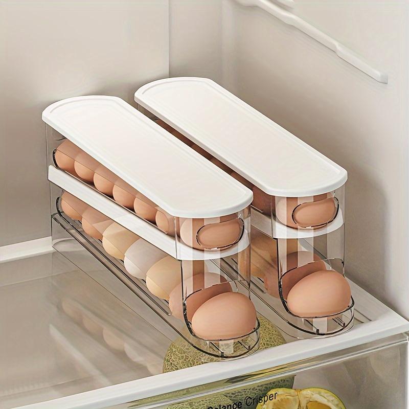 💥LAST DAY SALE 50% OFF💥2-Tier Tilted Design Egg Storage Rack
