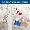 🔥Kaufe 2 Erhalte 1🦠Schimmel & Mehltau Entferner Schaumspray