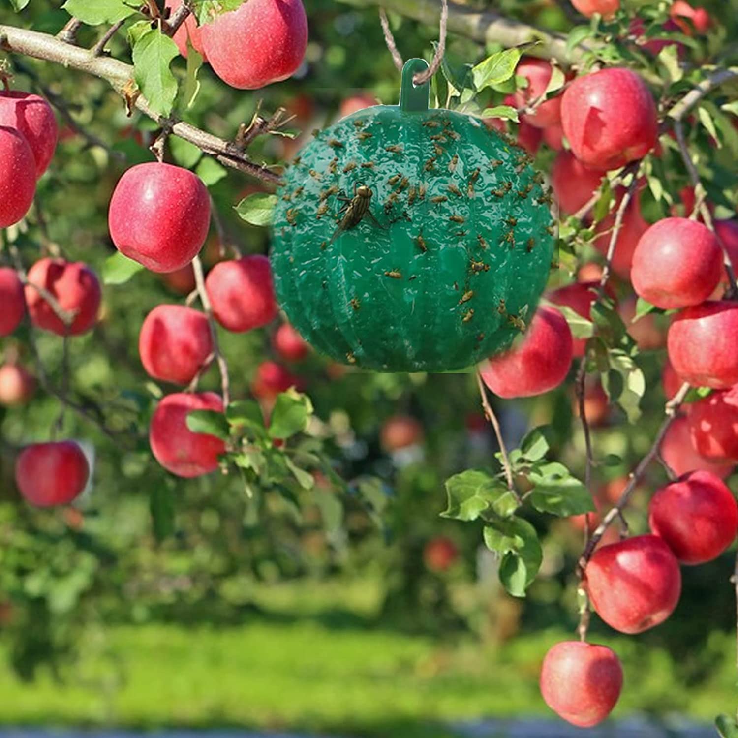 (🎄EARLY CHRISTMAS SALE - 50% OFF) 🎁Hanging Environmental Fruit Fly Traps Sticky Traps