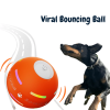 🎄Christmas Hot Sale 70% OFF🎄Viral Bouncing Ball