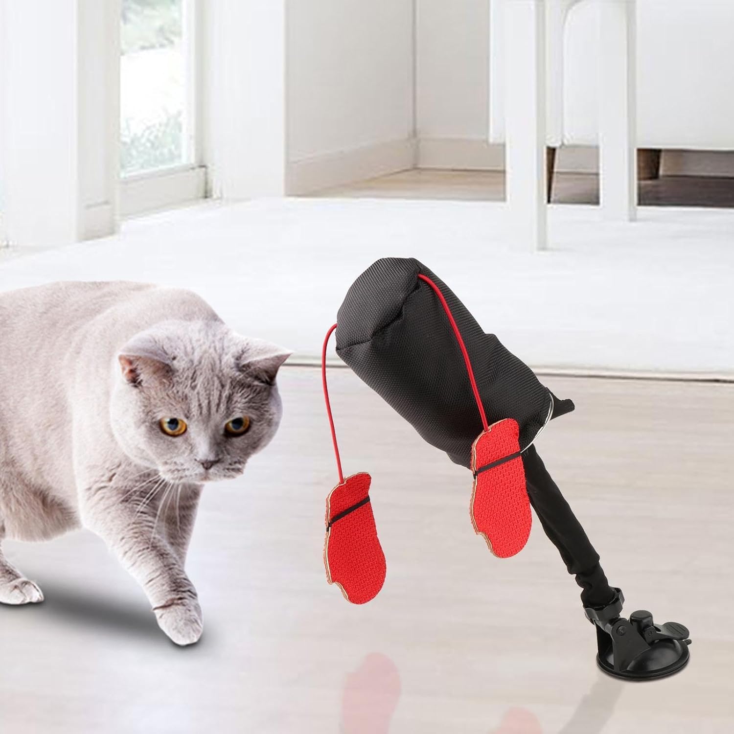 🔥Last Day Promotion 70% OFF🥊Cat Boxing Toy⚡️Buy 2 Free Shipping