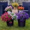 💖Spring Hot Sale 49% OFF- Artificial Flowers for Outdoors💐