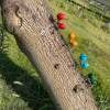 💥LAST DAY SALE 50% OFF💥Creative Ant Design Garden Decoration