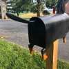 🐶Wiener Dog - Mailbox 📫