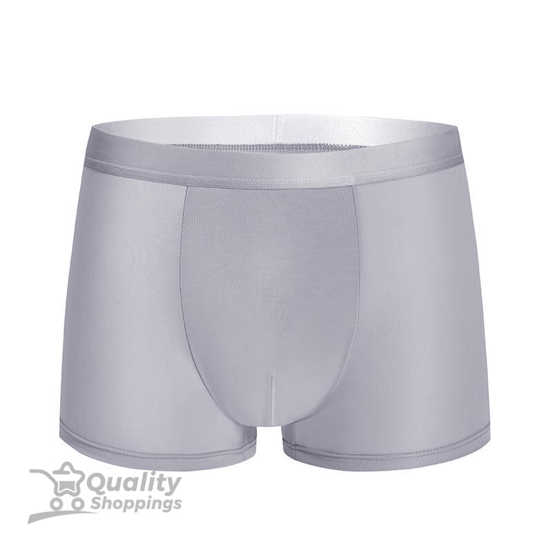 Summer Ice Silk Men Underwear Quick Dry Seamless Boxer