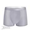 Summer Ice Silk Men Underwear Quick Dry Seamless Boxer