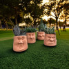 Flower pots decorated with a caricature of a face