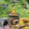 🌈Hot Sale 70% Off🎁Hanging Umbrella Girl Bird Feeder Garden Decor☂️