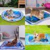 🔥Summer Hot Sale 50% Off😻Pet Water Sensory Mat