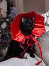 <strong>🎃Halloween Special 50% OFF</strong> 🦇Halloween Pet Cape Costumes Cosplay Vampire Cloak