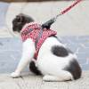 MOTHER'S DAY SALE-49% OFF-Cat Dogs Vest Harness and Leash Anti-break Away Chest Strap Cat Clothes