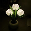 🔥Last Day Promotion - 50% OFF-🎁-🌷LED Tulip Night Light🌷