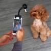 ⚡⚡Last Day Promotion 68% OFF - Selfie Stick for Pets