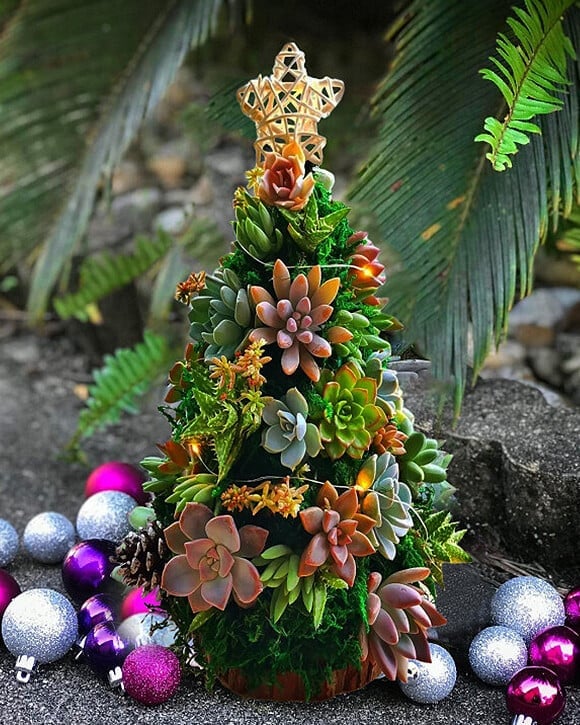 (🌲Early Christmas Sale- 50% OFF) 🎄Succulent Art Tree - Buy 2 Free Shipping