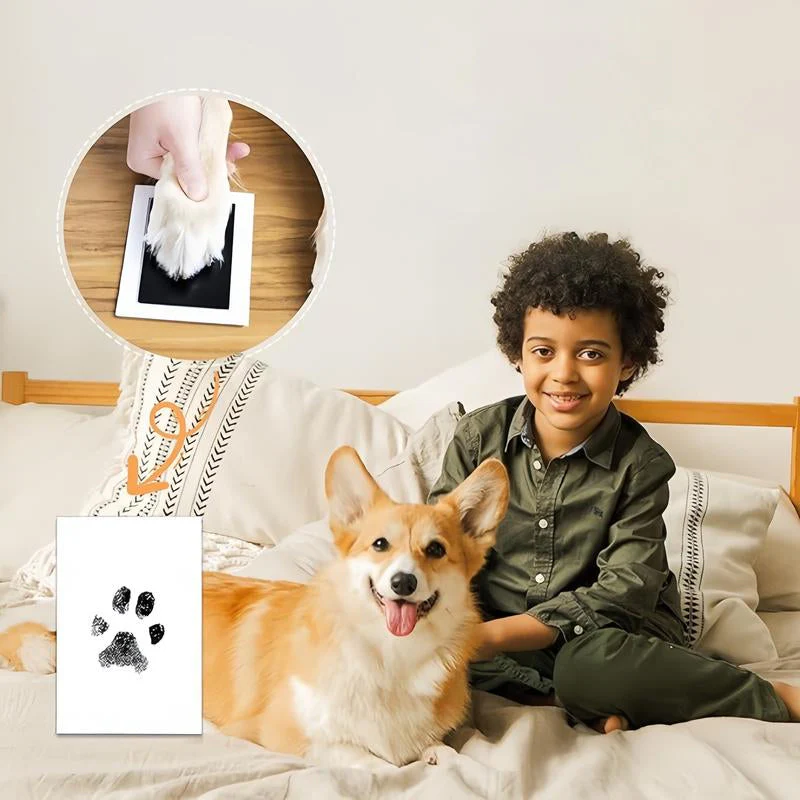 🔥Last Day 50% OFF- Pet Paw Printing Kit