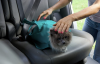 50% Off Cat Carrier Pouch, Buy 2 Free Shipping